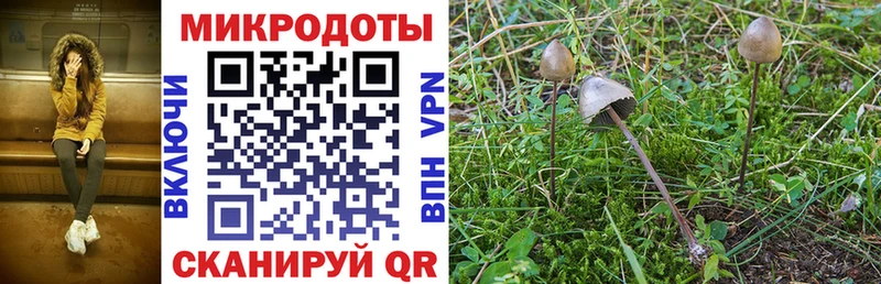 мега ссылки  Юрьевец  Псилоцибиновые грибы ЛСД  сколько стоит 